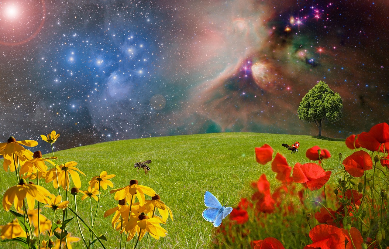 meadow, green meadow, flower wallpaper, flower meadow, grass, nature, blade of grass, landscape, flower, grasses, spring, in the green, bloom, blossom, bloom, flora, plant, close up, yellow, poppy, red poppy, poppy flower, yellow flower, skinny, sunny yellow, sea of flowers, tree, green tree, deciduous tree, freestanding, free tree stand, flower background, horizon, heaven, clouds, clouded sky, blue sky, cloudy, cloudless, butterfly, ladybug, bee, insect, flying, insect flight, photo black and white, black and white image, grayscale image, moon, full moon, night, pleiades, stars, starry sky, beautiful flowers, super moon, night shot, lunar crater, lunar landscape, lighting mood, shades of color, galaxy, fog, kosmus, universe, milky way, night sky, mystical, astronomy, space, the atmosphere, spirit space, infinity, infinite, fantasy, sice fiction, creation, god, divinity, emergence, fog big dog, canis major, hubble space telescope, photomontage, science fiction, abstract, big bang, imagination, fantasy world universe